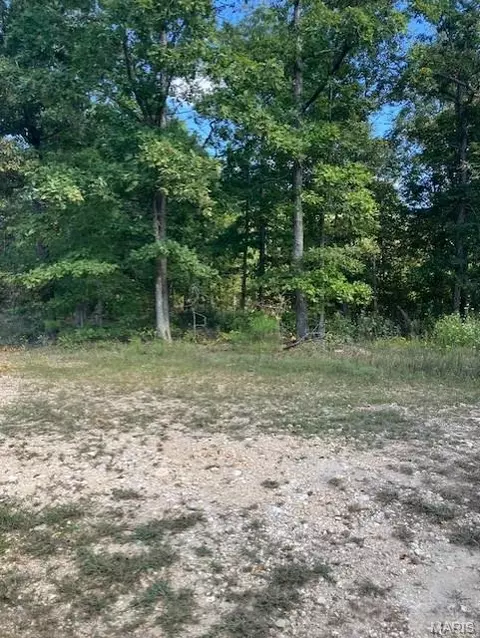 175 Madison Cr 410, Fredericktown, MO 63645