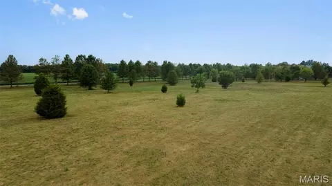 lot5 County Highway 401, Benton, MO 63736 photo 14