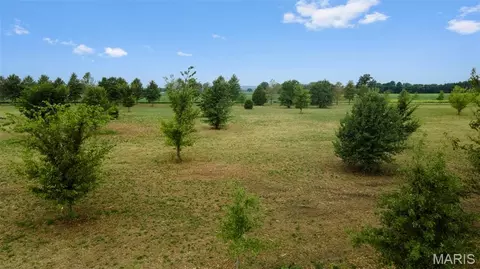 lot5 County Highway 401, Benton, MO 63736 photo 12
