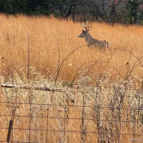 Other - 0 Highway O Rd, Cuba, MO 65453 photo 6 of 6