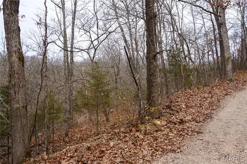 Tract D Holiday Lane, Dixon, MO 65459