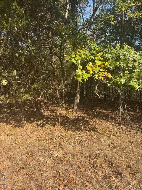 2 Mo-72, Fredericktown, MO 63645 photo 5