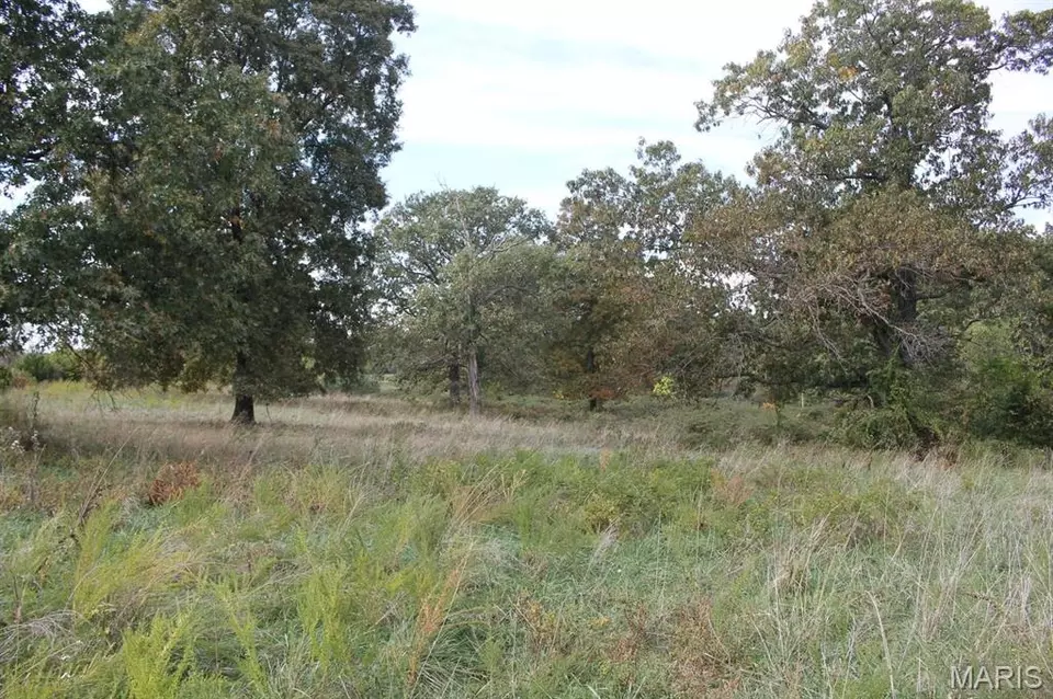  8903 M-general Baptist Rd # -5, Mountain Grove, MO 65711 photo 5