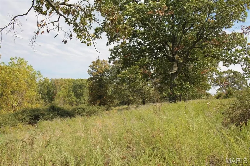  8903 M-general Baptist Rd # -5, Mountain Grove, MO 65711 photo 6