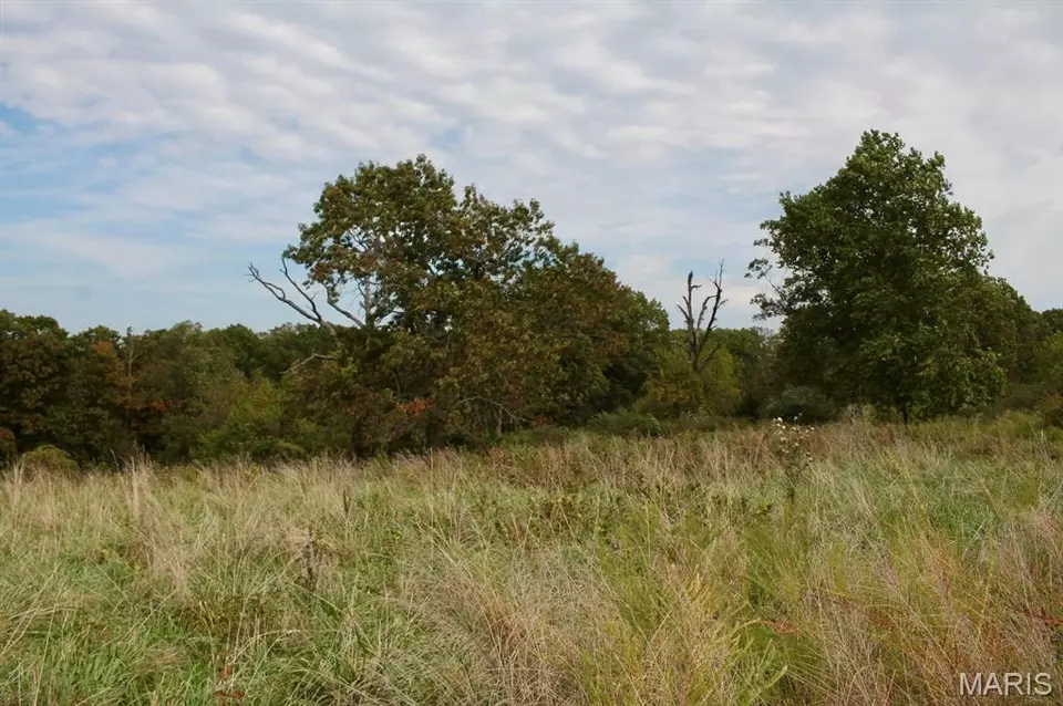  8903 M-general Baptist Rd # -5, Mountain Grove, MO 65711 photo 1