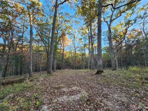 1414 Valley Ct, Pacific, MO 63069
