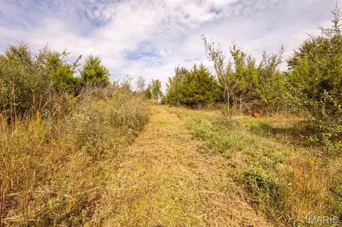 lot7 Washington, Perry, MO 63462 photo 10