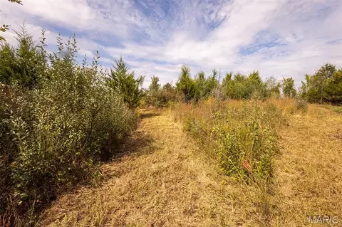 lot7 Washington, Perry, MO 63462 photo 9