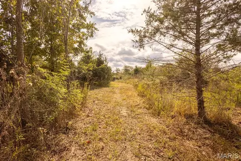 lot7 Washington, Perry, MO 63462 photo 12
