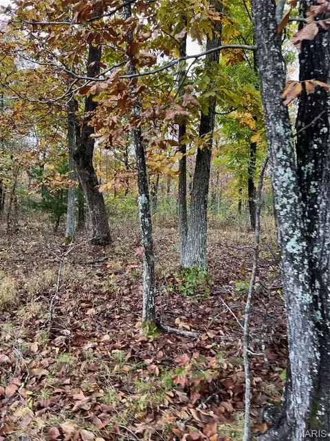 0 Oregon Co 142-255, Thayer, MO 65791 photo 14