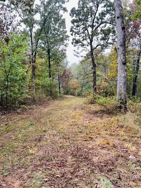 0 Oregon Co 142-255, Thayer, MO 65791 photo 2