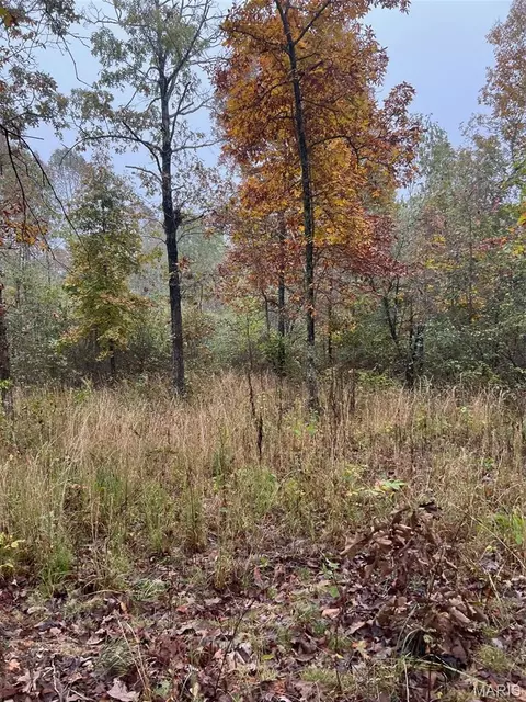 0 Oregon Co 142-255, Thayer, MO 65791 photo 8