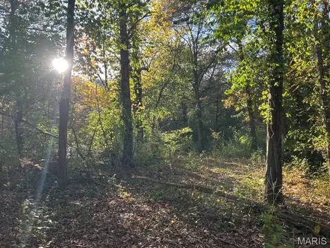 410 Oak Dr, Gray Summit, MO 63039 photo 3