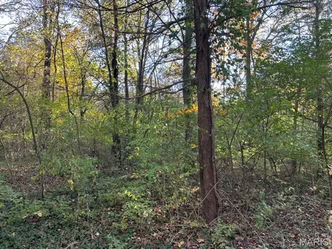 410 Oak Dr, Gray Summit, MO 63039 photo 4