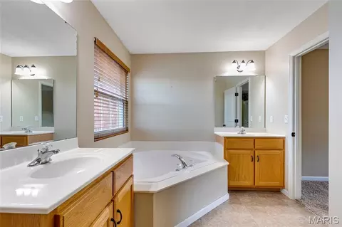 Bath - 672 Berrywine Ln, Arnold, MO 63010 photo 6 of 7