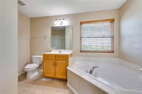 Bath - 672 Berrywine Ln, Arnold, MO 63010 photo 5 of 7
