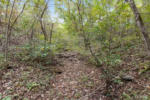 5 State Road Z, Edwards, MO 65326 photo 18