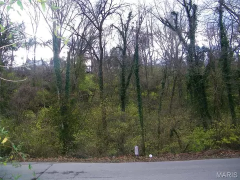 9835 Valley Dr, Riverview, MO 63137 photo 5