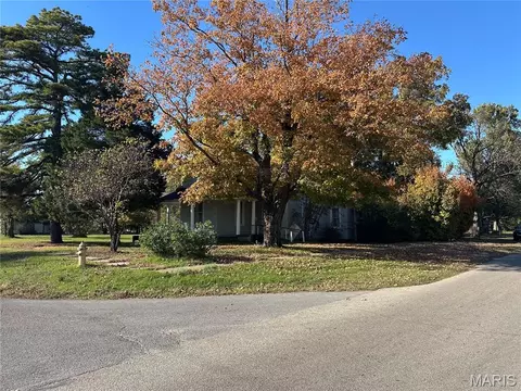 Exterior - 412 E Howard, Malden, MO 63863 photo 5 of 7