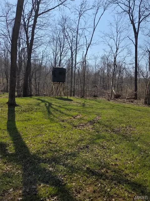 Tract 2 Bcr 930, Patton, MO 63662 photo 6