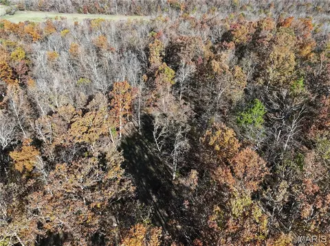 Tract 2 Bcr 930, Patton, MO 63662 photo 15