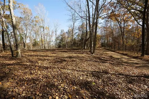 Tract 2 Bcr 930, Patton, MO 63662 photo 44