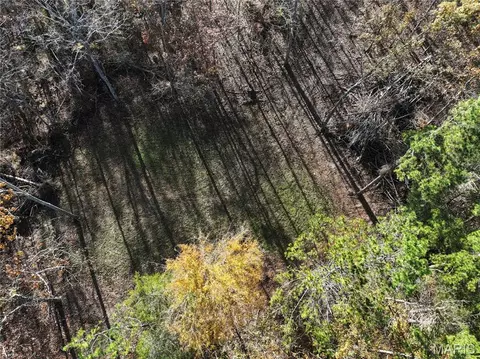 Tract 2 Bcr 930, Patton, MO 63662 photo 29