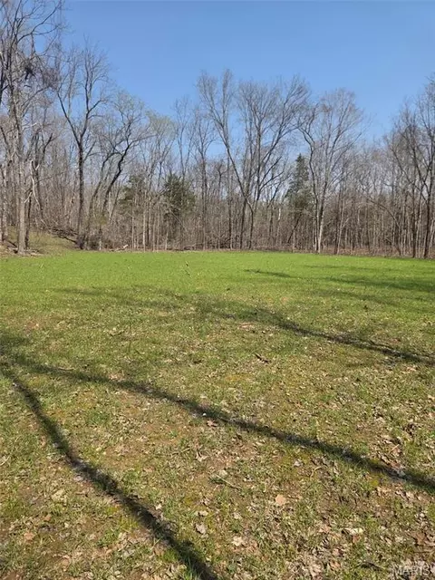 Tract 2 Bcr 930, Patton, MO 63662 photo 3