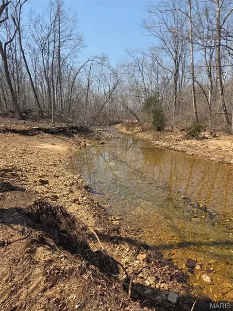 Tract 2 Bcr 930, Patton, MO 63662 photo 4