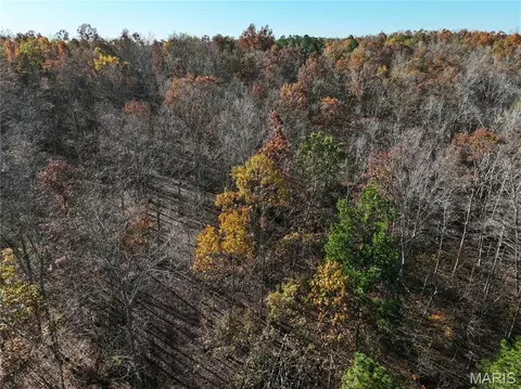 Tract 2 Bcr 930, Patton, MO 63662 photo 30
