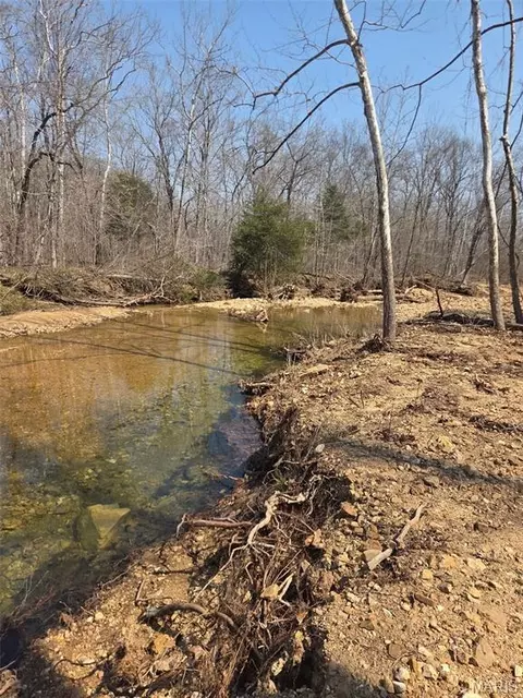 Tract 2 Bcr 930, Patton, MO 63662 photo 9