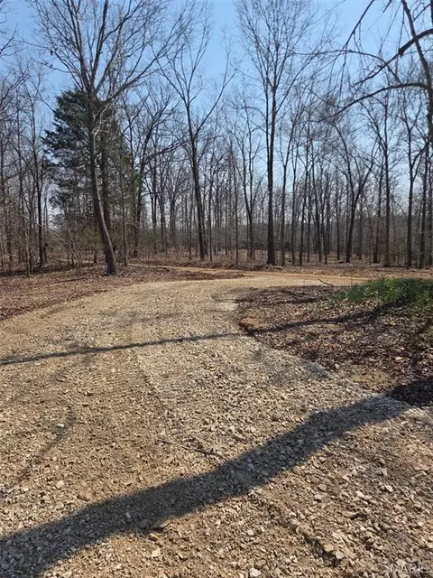 Tract 2 Bcr 930, Patton, MO 63662 photo 5