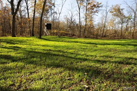Tract 2 Bcr 930, Patton, MO 63662 photo 37
