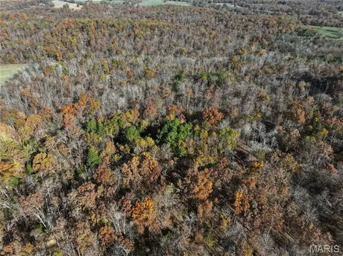 Tract 2 Bcr 930, Patton, MO 63662 photo 34