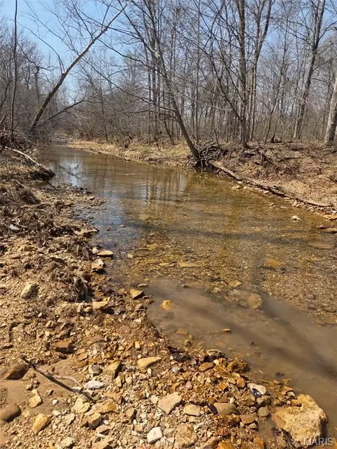 Tract 2 Bcr 930, Patton, MO 63662 photo 8
