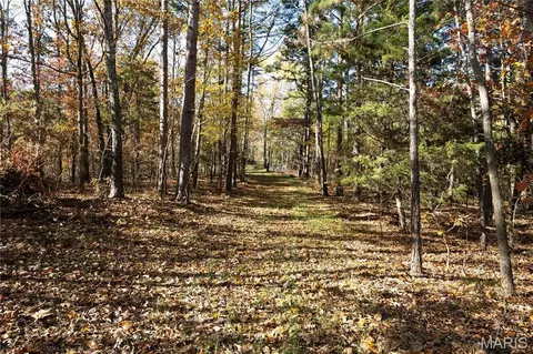 Tract 2 Bcr 930, Patton, MO 63662 photo 11