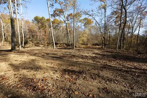 Tract 2 Bcr 930, Patton, MO 63662 photo 38
