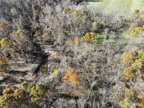 Tract 2 Bcr 930, Patton, MO 63662 photo 21