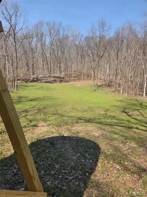 Tract 2 Bcr 930, Patton, MO 63662 photo 45