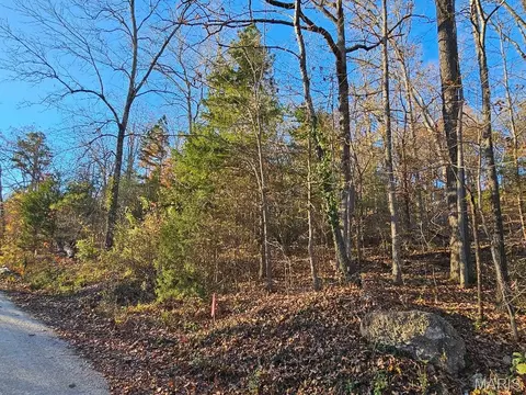 lot5 Blk 1 Carter 133, Van Buren, MO 63965