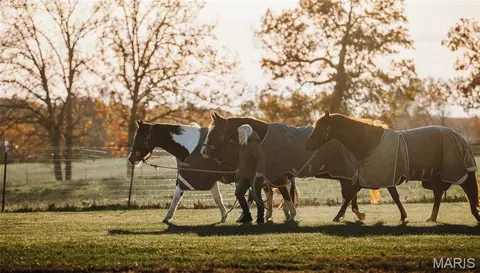 Other - 17265 County Road 8280, Rolla, MO 65401 photo 22 of 36