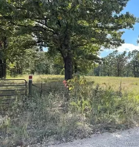 4 Kansas, Lebanon, MO 65536