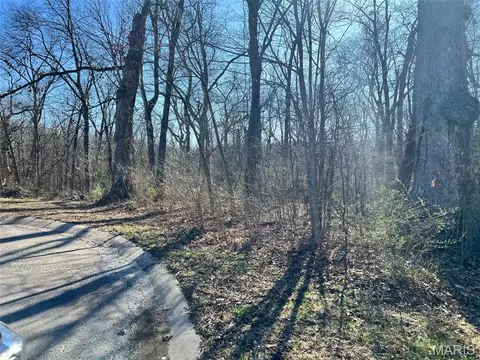 4 Acres Oak Ridge Pond Court Rd, Hannibal, MO 63401