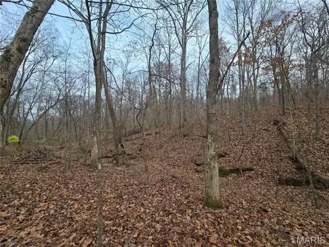 499 Sunset Echo Rd, Unincorporated, MO 63084 photo 8