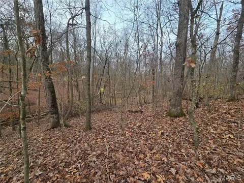 499 Sunset Echo Rd, Unincorporated, MO 63084 photo 12