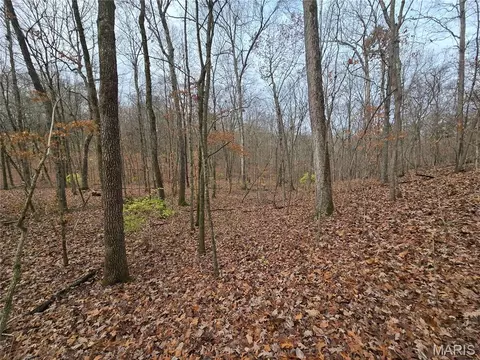 499 Sunset Echo Rd, Unincorporated, MO 63084 photo 18