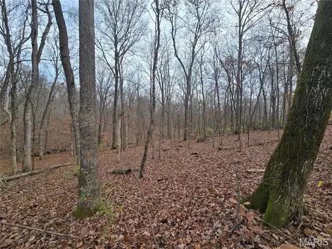 499 Sunset Echo Rd, Unincorporated, MO 63084 photo 4