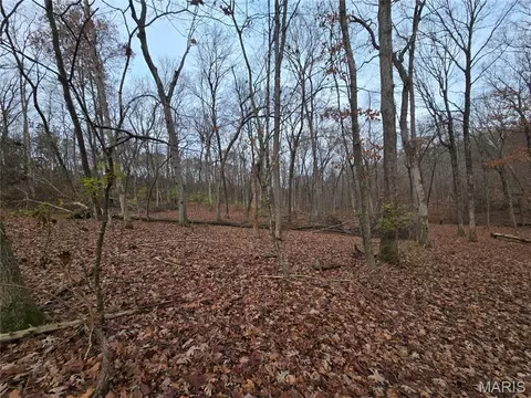 499 Sunset Echo Rd, Unincorporated, MO 63084 photo 3