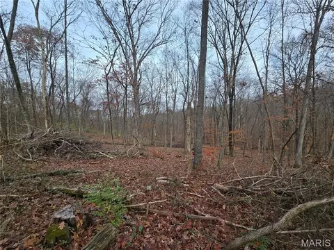 499 Sunset Echo Rd, Unincorporated, MO 63084 photo 2