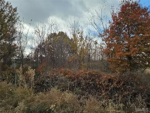 620 County Rd, Broseley, MO 63932